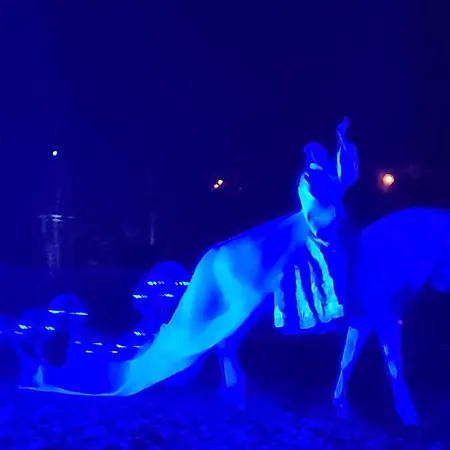 Relais De La Poste Ch Rose 3*