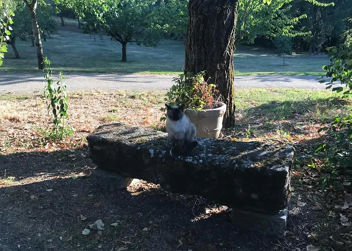 Relais De La Poste Ch Rose مونكلار دو كيارْسي