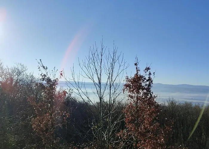 Relais De La Poste Ch Rose فندق مبيت وإفطار مونكلار دو كيارْسي