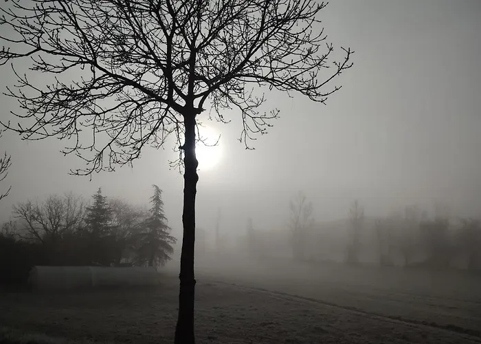 Relais De La Poste Ch Rose فندق مبيت وإفطار مونكلار دو كيارْسي