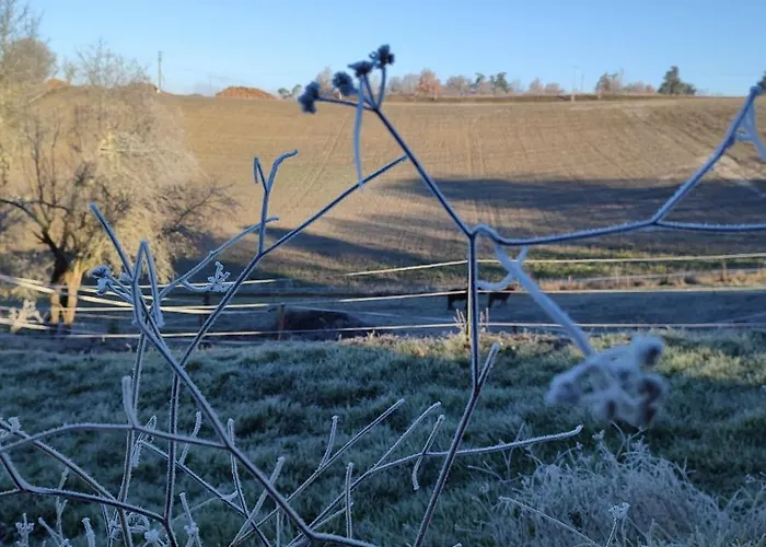 Relais De La Poste Ch Rose مونكلار دو كيارْسي