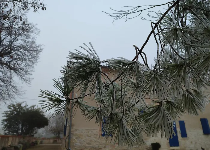 Relais De La Poste Ch Rose مونكلار دو كيارْسي