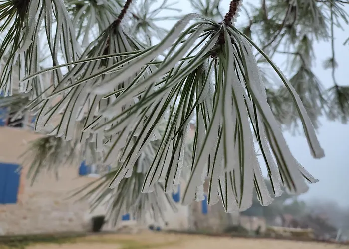 Relais De La Poste Ch Rose