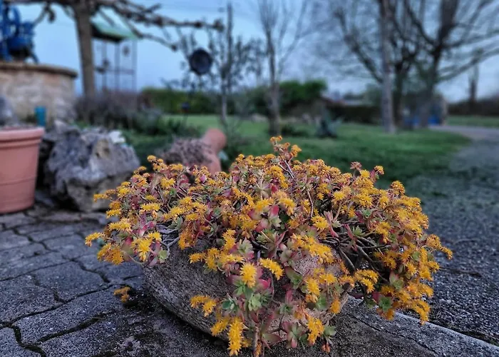 فندق مبيت وإفطار Relais De La Poste Ch Rose مونكلار دو كيارْسي