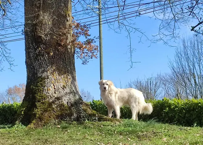 فندق مبيت وإفطار Relais De La Poste Ch Rose 3*