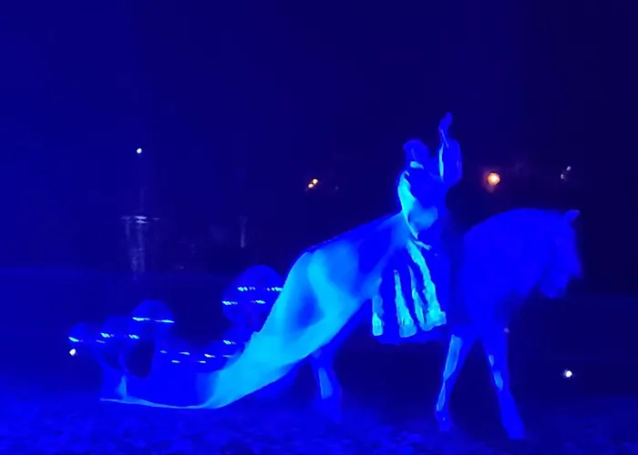 Relais De La Poste Ch Rose 3*