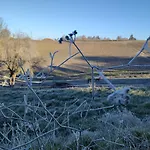 Relais De La Poste Ch Rose مونكلار دو كيارْسي