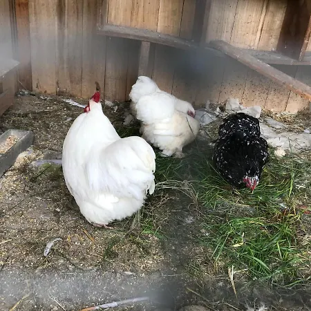 Relais De La Poste 3*