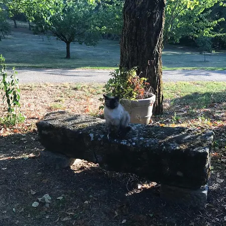 Relais De La Poste Monclar-de-Quercy