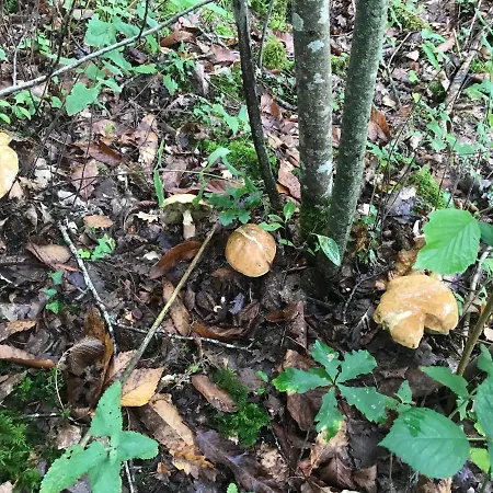 Relais De La Poste Couette-café 3*