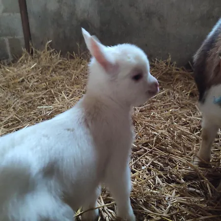 Bed & Breakfast Relais De La Poste Ch Rose Monclar-de-Quercy