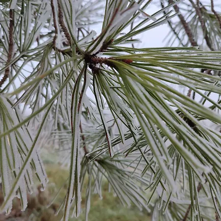 Relais De La Poste Couette-café 3*