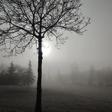 Relais De La Poste Ch Rose Bed & Breakfast Monclar-de-Quercy