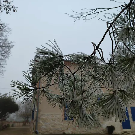Relais De La Poste Ch Rose Monclar-de-Quercy