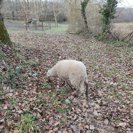 Couette-café Relais De La Poste