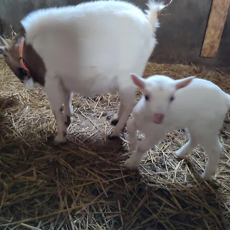 Relais De La Poste 3*