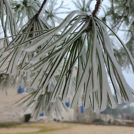 Relais De La Poste Ch Rose