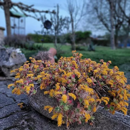 住宿加早餐酒店 Relais De La Poste Ch Rose Monclar-de-Quercy