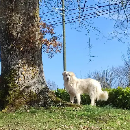 住宿加早餐酒店 Relais De La Poste Ch Rose 3*