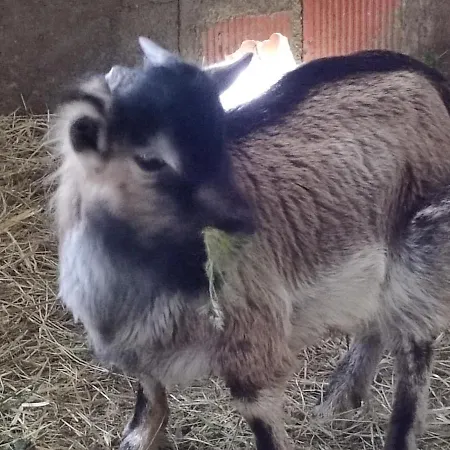 Relais De La Poste 3*