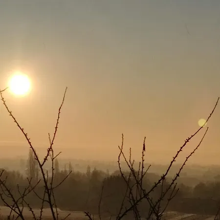 Relais De La Poste Ch Rose