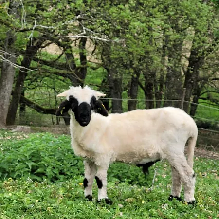 Relais De La Poste 3* Monclar-de-Quercy