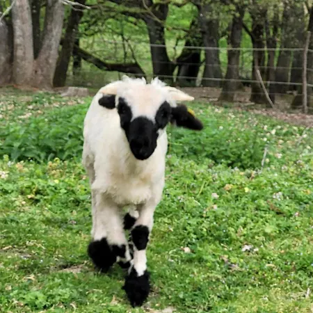 Relais De La Poste Ch Rose 3* Monclar-de-Quercy