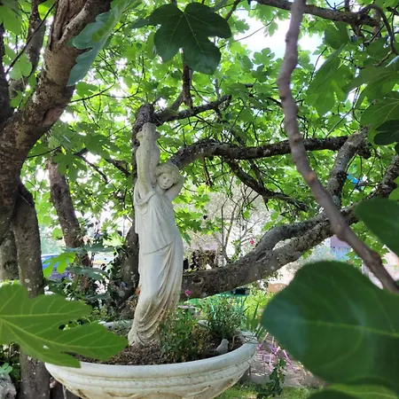 Couette-café Relais De La Poste 3*