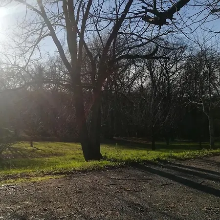 Relais De La Poste Couette-café