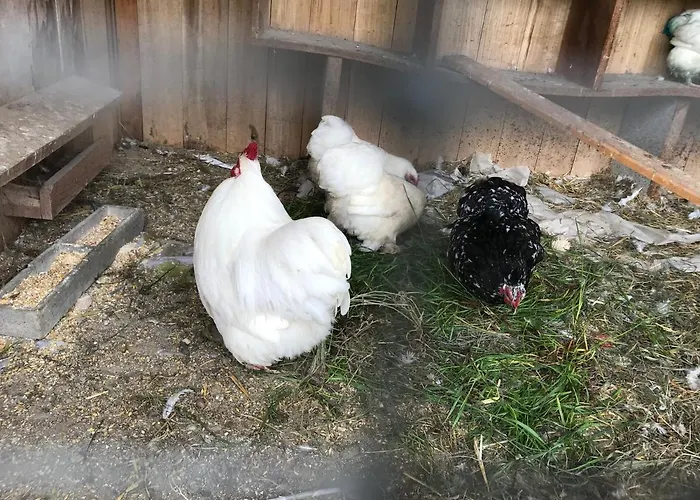 Relais De La Poste 3*