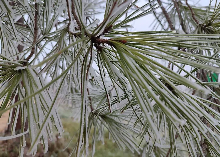 Relais De La Poste Ch Rose ベッド・アンド・ブレックファスト 3*