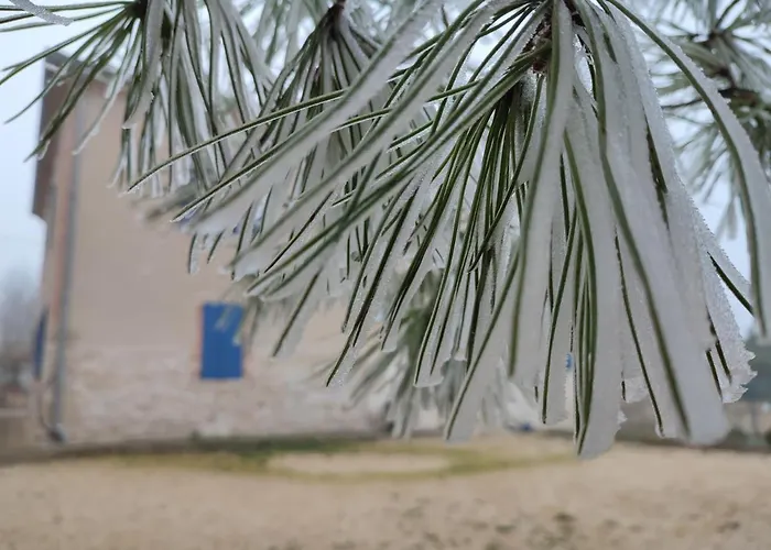 Relais De La Poste Ch Rose ベッド・アンド・ブレックファスト 3*