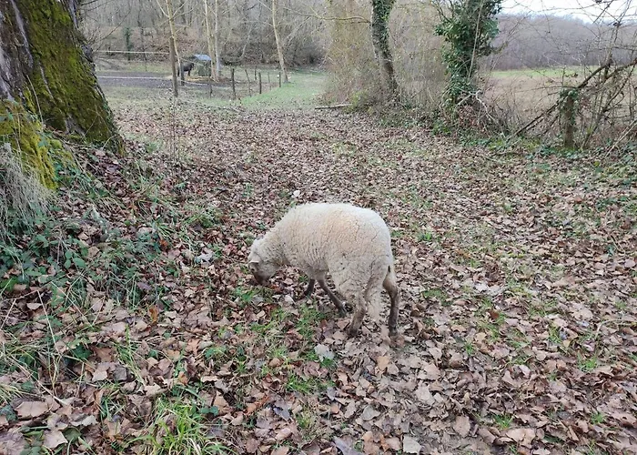 ベッド・アンド・ブレックファスト Relais De La Poste Ch Rose