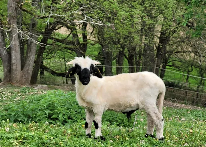Relais De La Poste Ch Rose 3* Monclar-de-Quercy