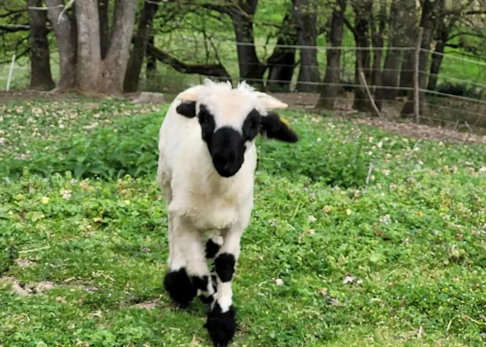 Relais De La Poste 3* Monclar-de-Quercy