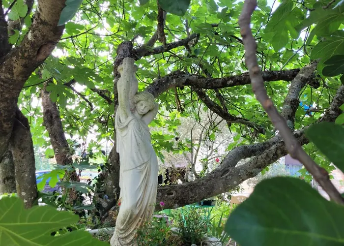 Couette-café Relais De La Poste 3*